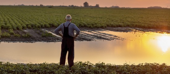 Pour faire face à la baisse de rendement des productions agricoles en raison des conditions climatiques défavorables de ces derniers mois, des dégrèvements de taxe foncière seront automatiquement accordés aux exploitants agricoles par zones géographiques et natures de cultures.