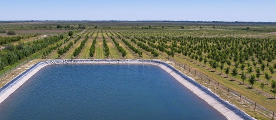 Les délais de recours en justice contre les projets d’ouvrages hydrauliques agricoles et les installations d’élevage sont raccourcis.