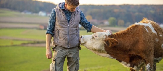 Plusieurs aides de la Pac versées au titre de la campagne 2023 bénéficient d’une rallonge exceptionnelle de fin de campagne.