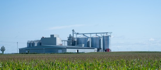 Après deux années de forte croissance, la production agricole a enregistré un recul de 1,5 % l’an dernier. Une baisse qui s’explique, non par une diminution des volumes produits, mais par une chute des prix.