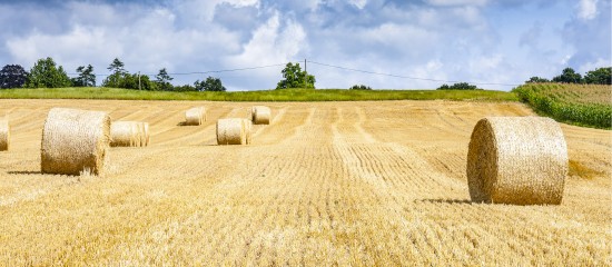 L’indice national qui sert à actualiser le montant des fermages des terres et des bâtiments agricoles augmente de 5,23 % en 2024.