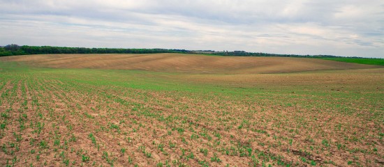 Le ministère de l’Agriculture a publié récemment le barème indicatif de la valeur vénale moyenne des terres agricoles en 2023.