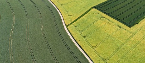 En cas d’échange de parcelles agricoles, leurs propriétaires respectifs ne peuvent pas imposer à l’exploitant locataire de l’une des parcelles concernées de demeurer sur la parcelle d’origine