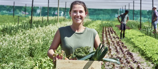 Les montants unitaires de l’écorégime, du paiement redistributif et de l’aide complémentaire au revenu pour les jeunes agriculteurs au titre de la campagne 2024 ont été revus à la hausse.