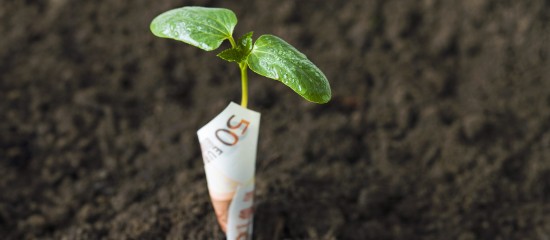 Pour aider les exploitants agricoles à surmonter les difficultés conjoncturelles et structurelles auxquelles ils sont actuellement confrontés, des prêts de reconstitution de trésorerie à moyen terme à taux bonifié peuvent leur être octroyés. Les modalités pour demander la bonification de ces prêts ont été précisées.