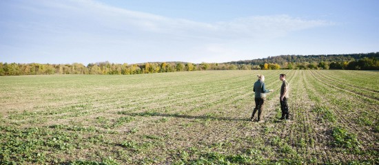 Lorsque la Safer exerce son droit de préemption en faisant une contre-proposition de prix, le vendeur qui saisit le tribunal en fixation du prix de vente peut ensuite retirer le bien de la vente à tout moment de la procédure, même avant que le tribunal ait fixé le prix.