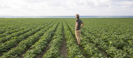 Le délai de 6 mois dans lequel un exploitant agricole peut contester en justice la vente de parcelles intervenue au mépris de son droit de préemption court à compter du jour où il connaît la date de la vente.