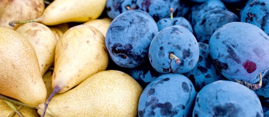 Le montant des aides à la production de poires et de prunes pour la campagne 2016 vient d’être augmenté.