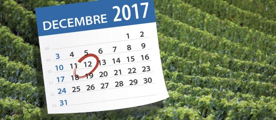 La date limite à laquelle les viticulteurs doivent déclarer leur récolte 2017 est fixée au 12 décembre.