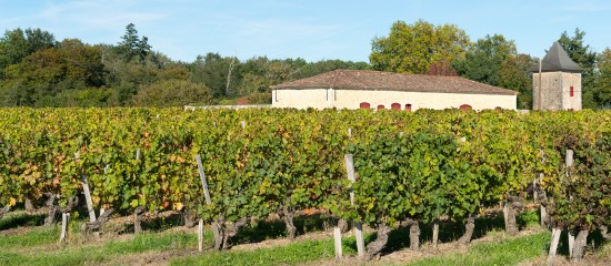 36 châteaux viticoles du Médoc bénéficient désormais de la dénomination « cru artisan ».