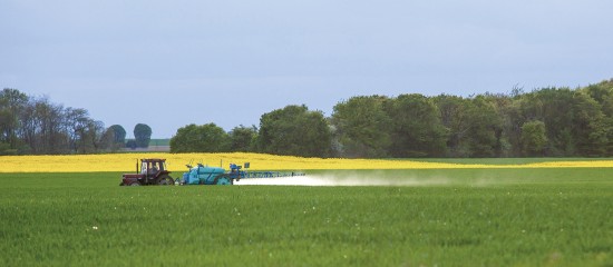 À compter du 1 septembre, l’utilisation de pesticides contenant certaines substances appartenant à la famille des néonicotinoïdes sera interdite.