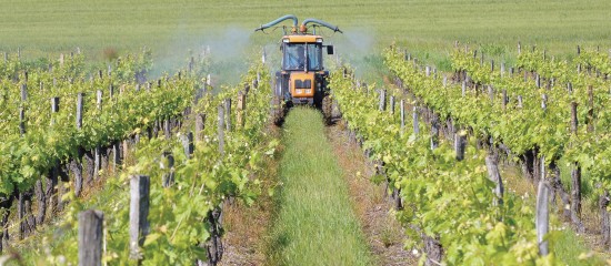 L’autorisation d’utiliser le cuivre comme fongicide dans l’agriculture a été reconduite pour 7 ans par l’Union européenne.