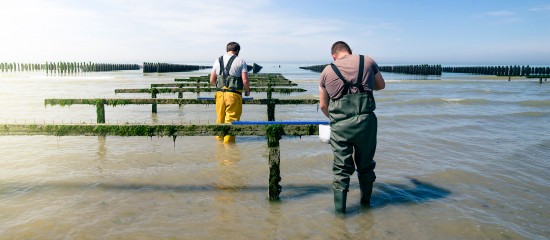 Lancé par la Direction des pêches maritimes et de l’aquaculture, un appel à projet a pour objectif d’encourager la filière aquacole française à innover pour satisfaire la demande croissante des consommateurs.