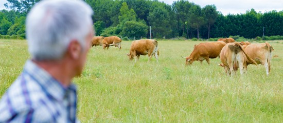 Pendant 4 ans, des dispositifs d’abattoirs mobiles vont être expérimentés en vue d’identifier et de lever les éventuelles difficultés de leur fonctionnement.