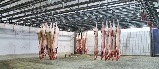 À titre expérimental, les abattoirs qui le souhaitent vont pouvoir mettre en place un dispositif de contrôle vidéo de leurs postes de saignée et de mise à mort.