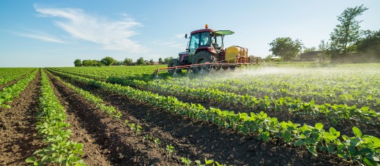 36 produits à base de glyphosate ne pourront plus être utilisés à la fin de l’année 2020.