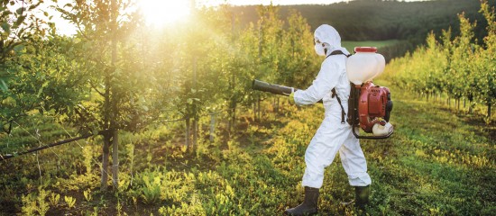 Deux nouveaux insecticides contenant des substances actives agissant comme celles appartenant à la famille des néonicotinoïdes viennent d’être interdits en France.