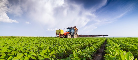 Les conditions dans lesquelles les semences de betteraves sucrières traitées avec certains néonicotinoïdes peuvent être exceptionnellement utilisées viennent d’être précisées.