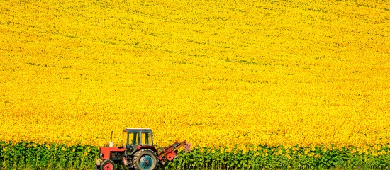 Pour encourager la production de cultures riches en protéines, les pouvoirs publics viennent d’instaurer une nouvelle aide permettant aux exploitants agricoles d’acquérir des agroéquipements pour la culture d’oléoprotéagineux et de sursemis de légumineuses fourragères.