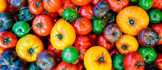 Un guichet d’aide pour accompagner l’achat d’agroéquipements pour la filière des fruits et légumes est ouvert depuis le 1 juillet. Il est doté de 20 millions d’euros.