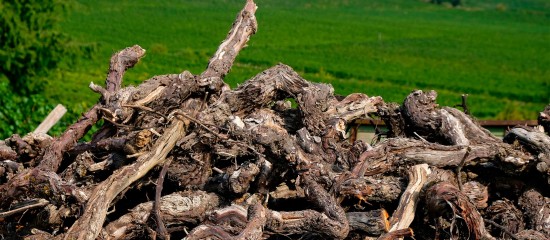 Un dispositif d’aide à l’arrachage de vignes à hauteur de 4 000 € par hectare sera prochainement mis en œuvre, sous réserve de validation de la Commission européenne.