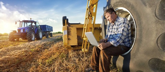 Depuis le 1 janvier dernier, les demandes pour bénéficier des aides ovines, caprines et bovines au titre de la campagne 2025 peuvent être effectuées sur le site Telepac.