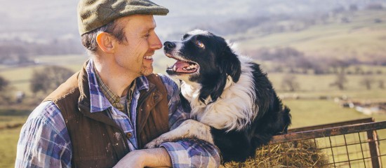 L’appel à projets pour bénéficier d’une aide à la protection des troupeaux d’ovins et de caprins contre le loup et l’ours en 2025 est ouvert jusqu’au 31 juillet.