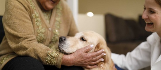 Les conditions dans lesquelles les résidents des établissements d’hébergement pour personnes âgées dépendantes et des résidences autonomie peuvent accueillir leur animal de compagnie sont désormais fixées.