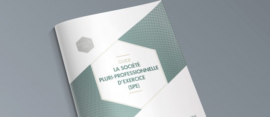 Un guide pratique sur les modalités de création, d’organisation et de fonctionnement des sociétés pluriprofessionnelles d’exercice vient d’être élaboré par les professions concernées elles-mêmes.