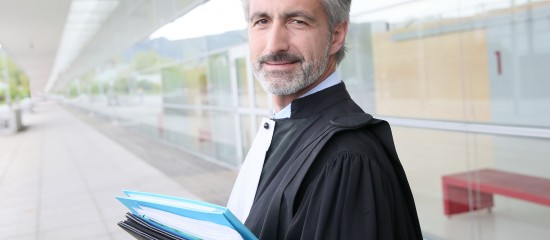 À compter du 4 octobre 2021, les avocats auront accès à la plate-forme TIG 360°, ce qui facilitera leurs plaidoiries en faveur du travail d’intérêt général.