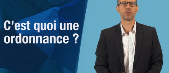 En matière constitutionnelle, une ordonnance est une mesure prise par le Gouvernement dans des domaines juridiques relevant normalement de la loi et donc du Parlement. Toutefois, le gouvernement ne peut prendre des ordonnances que s'il y a été habilité par le Parlement.