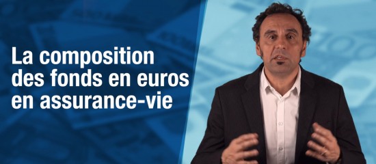 Très souvent plébiscités par les détenteurs de contrats d’assurance-vie, les fonds en euros sont composés de manière à pouvoir notamment assurer une garantie en capital.