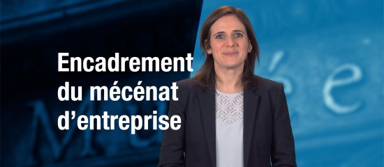 Le développement du mécénat par les petites structures est encouragé, mais son application est restreinte à l’égard des grandes entreprises.