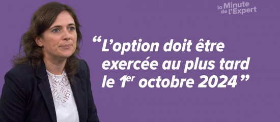 Les acomptes dus par les travailleurs indépendants au titre du prélèvement à la source de l’impôt sur le revenu sont prélevés chaque mois ou, sur option, chaque trimestre.