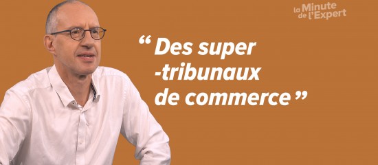 Les tribunaux des activités économiques, compétents notamment pour connaître de toutes les procédures de prévention et de traitement des difficultés économiques des entreprises, entreront en fonction le 1 janvier 2025.