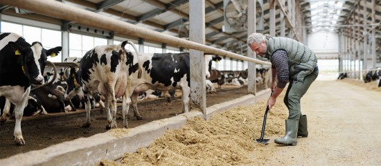 Les exploitants agricoles ont jusqu’au 30 juin 2024 pour demander que leurs cotisations sociales personnelles soient calculées sur la base de leur dernier revenu annuel.